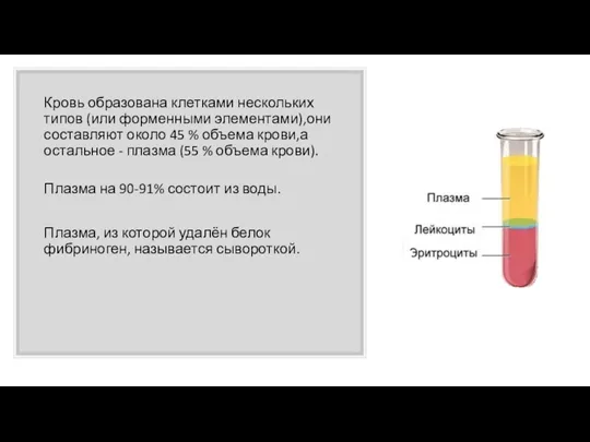 Кровь образована клетками нескольких типов (или форменными элементами),они составляют около 45