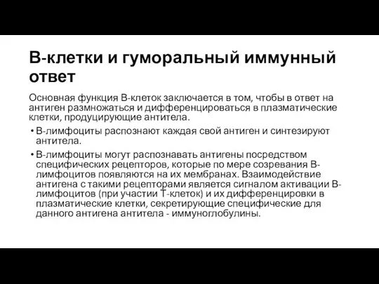 В-клетки и гуморальный иммунный ответ Основная функция В-клеток заключается в том,