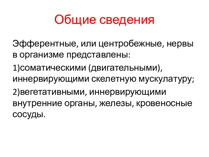 Общие сведения Эфферентные, или центробежные, нервы в организме представлены: 1)соматическими (двигательными),