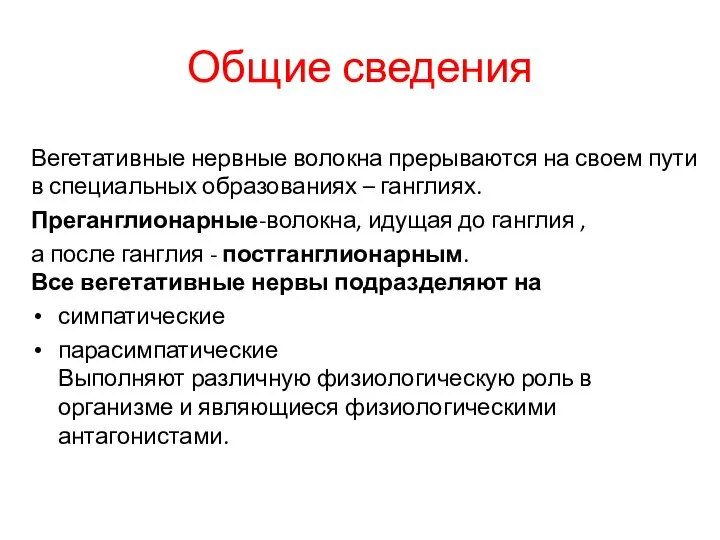 Общие сведения Вегетативные нервные волокна прерываются на своем пути в специальных