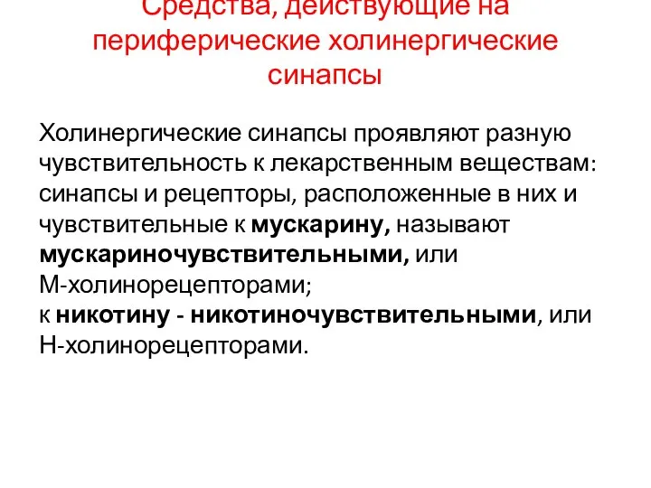 Средства, действующие на периферические холинергические синапсы Холинергические синапсы проявляют разную чувствительность