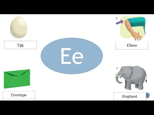 Ee Egg Envelope Elephant Elbow