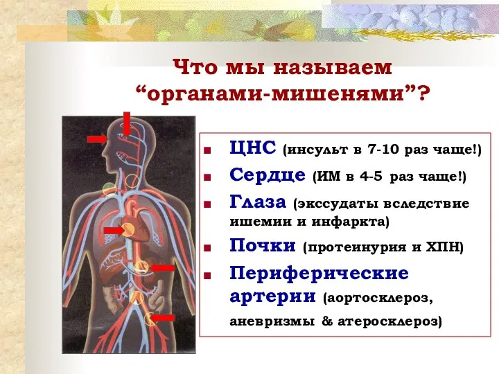 Что мы называем “органами-мишенями”? ЦНС (инсульт в 7-10 раз чаще!) Сердце