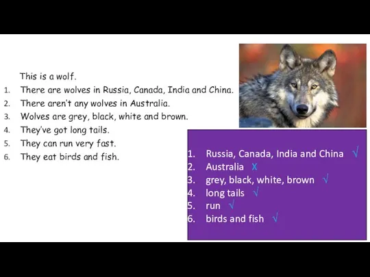 This is a wolf. There are wolves in Russia, Canada, India