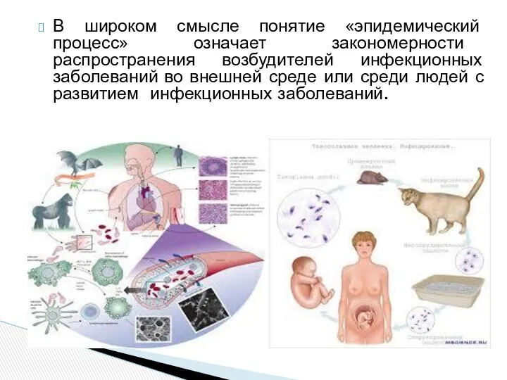 В широком смысле понятие «эпидемический процесс» означает закономерности распространения возбудителей инфекционных