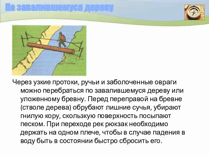 По завалившемуся дереву Через узкие протоки, ручьи и заболоченные овраги можно