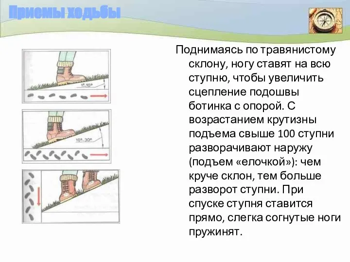 Приемы ходьбы Поднимаясь по травянистому склону, ногу ставят на всю ступню,