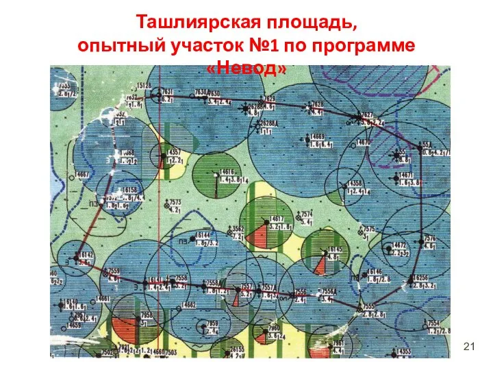 Ташлиярская площадь, опытный участок №1 по программе «Невод»