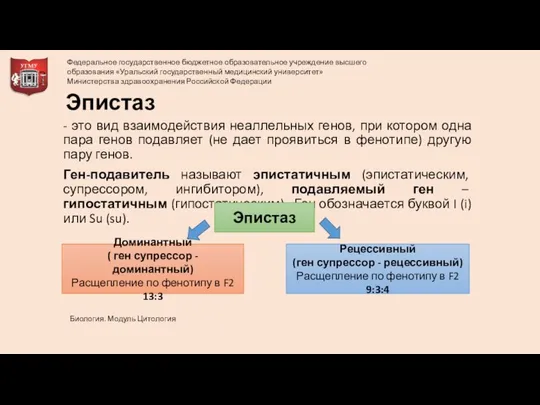 Эпистаз - это вид взаимодействия неаллельных генов, при котором одна пара