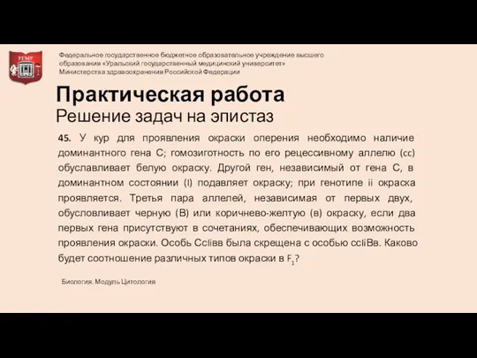 Практическая работа Решение задач на эпистаз 45. У кур для проявления