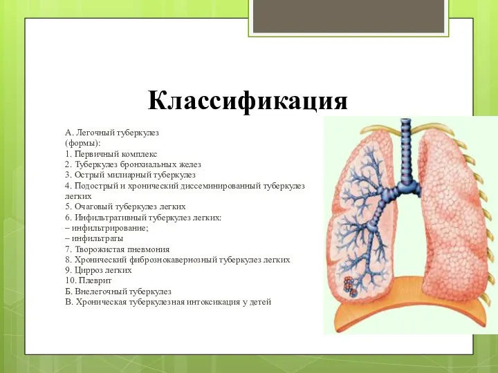 Классификация А. Легочный туберкулез (формы): 1. Первичный комплекс 2. Туберкулез бронхиальных