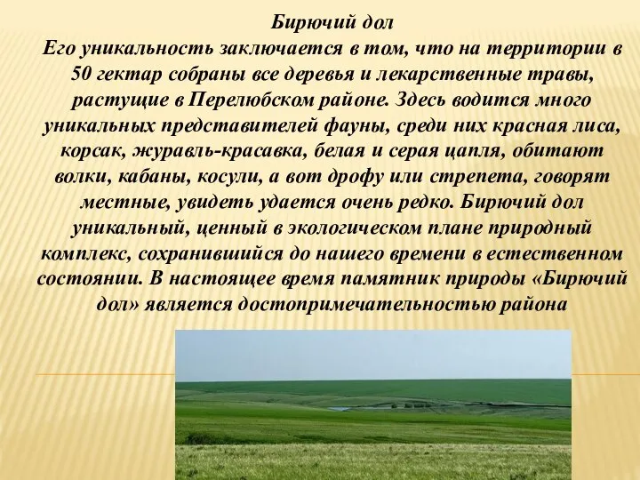 Бирючий дол Его уникальность заключается в том, что на территории в