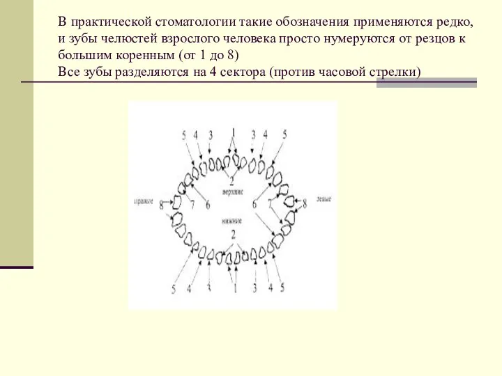 В практической стоматологии такие обозначения применяются редко, и зубы челюстей взрослого