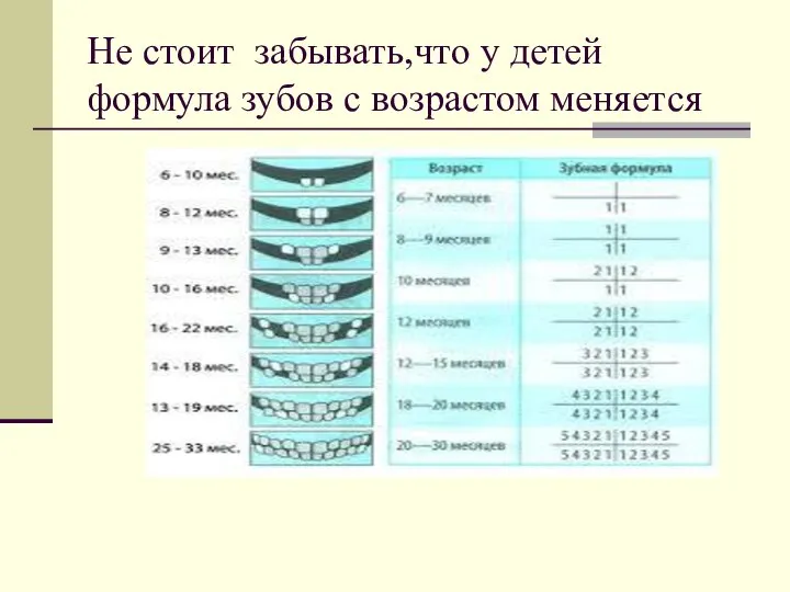 Не стоит забывать,что у детей формула зубов с возрастом меняется