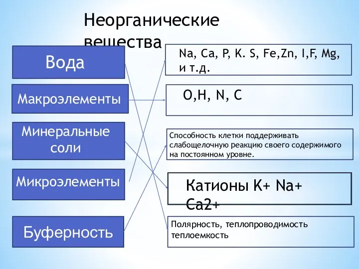 Неорганические вещества Полярность, теплопроводимость теплоемкость Макроэлементы Микроэлементы O,H, N, C Na,