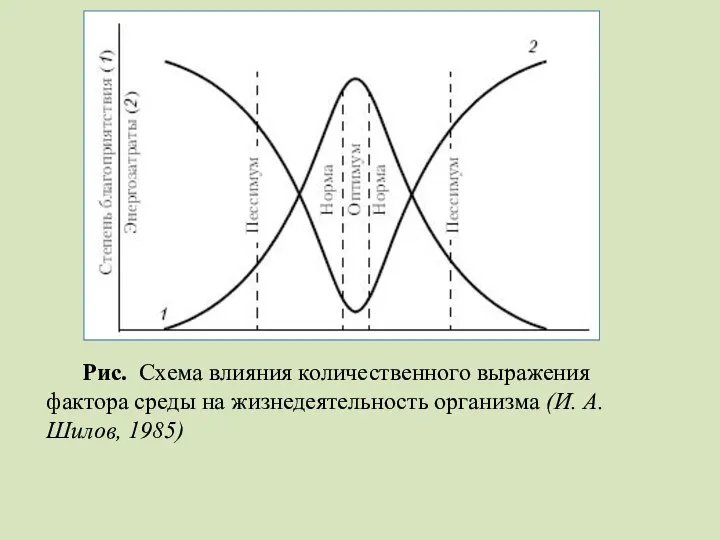 Рис. Схема влияния количественного выражения фактора среды на жизнедеятельность организма (И. А. Шилов, 1985)