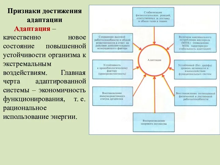 Признаки достижения адаптации Адаптация – качественно новое состояние повышенной устойчивости организма