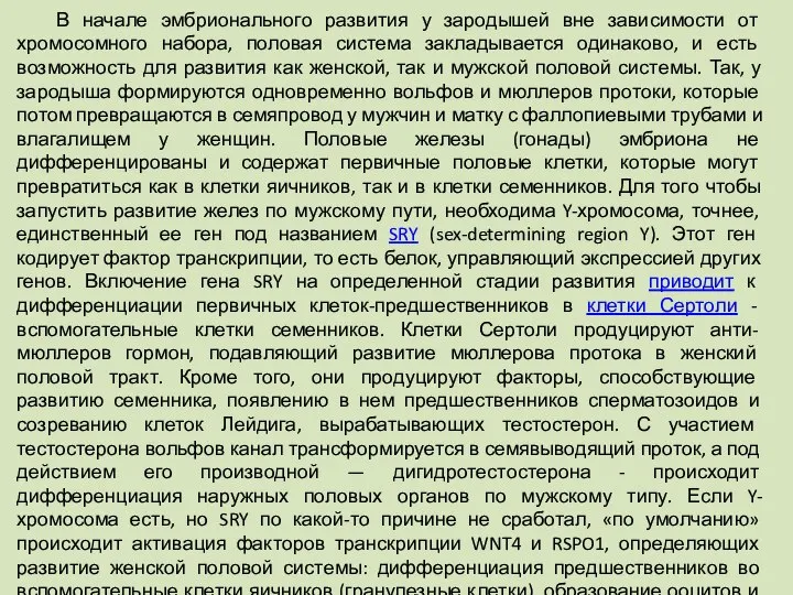 В начале эмбрионального развития у зародышей вне зависимости от хромосомного набора,