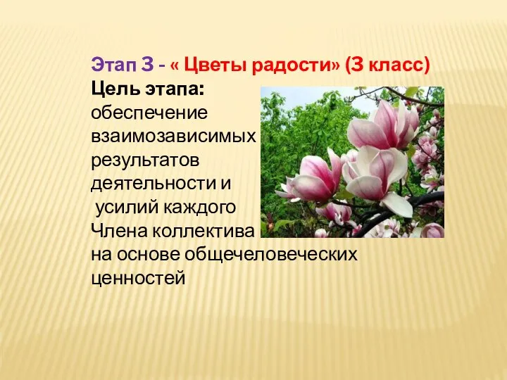 Этап 3 - « Цветы радости» (3 класс) Цель этапа: обеспечение