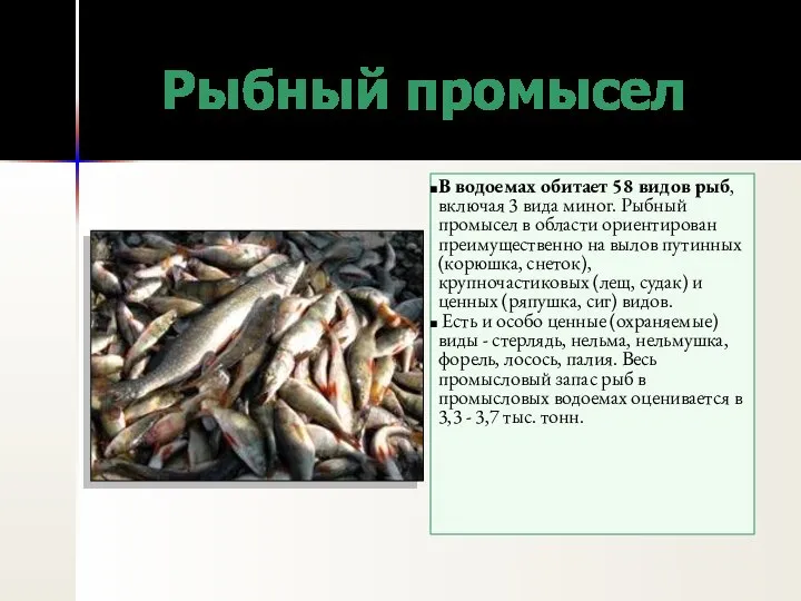 Рыбный промысел В водоемах обитает 58 видов рыб, включая 3 вида