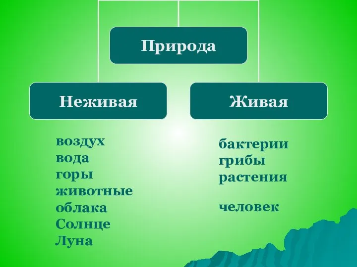 воздух вода горы животные облака Солнце Луна бактерии грибы растения человек