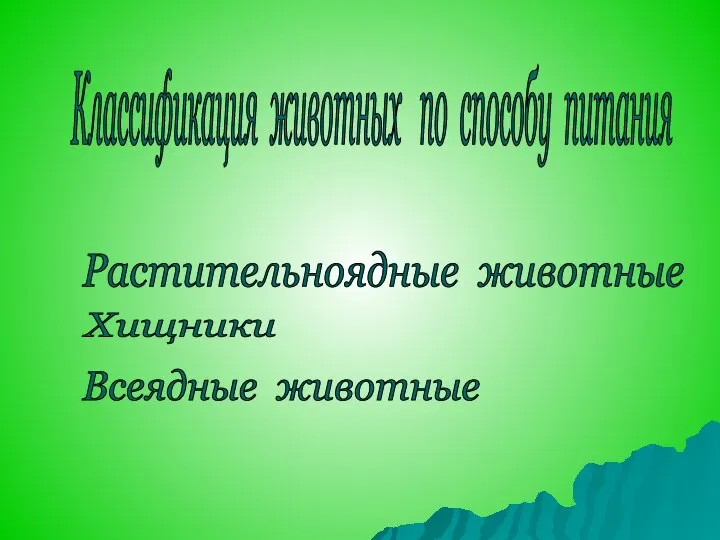 Классификация животных по способу питания Растительноядные животные Хищники Всеядные животные