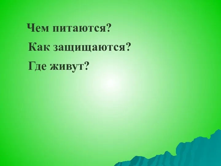 Чем питаются? Как защищаются? Где живут?