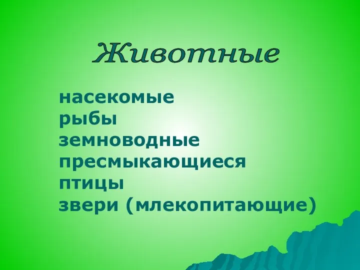 Животные насекомые рыбы земноводные пресмыкающиеся птицы звери (млекопитающие)