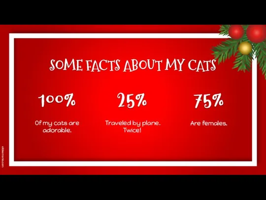 SOME FACTS ABOUT MY CATS Traveled by plane. Twice! Of my