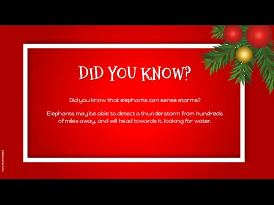 DID YOU KNOW? Did you know that elephants can sense storms?