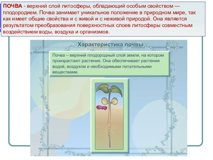 ПОЧВА - верхний слой литосферы, обладающий особым свойством — плодородием. Почва