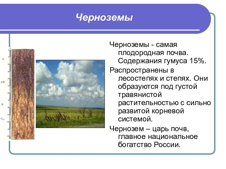 Черноземы Черноземы - самая плодородная почва. Содержания гумуса 15%. Распространены в