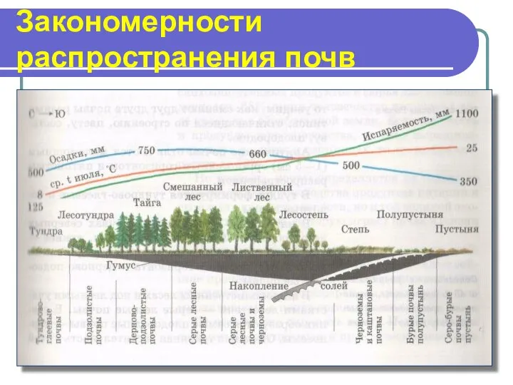 Закономерности распространения почв