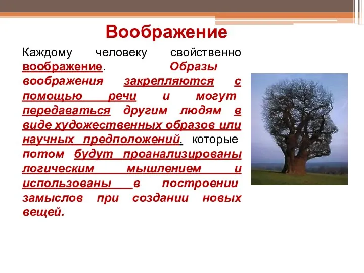 Каждому человеку свойственно воображение. Образы воображения закрепляются с помощью речи и