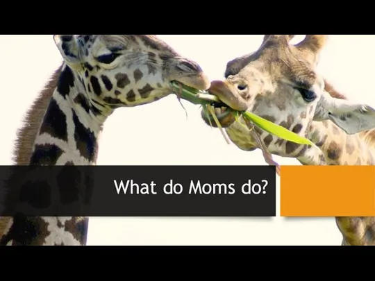 What do Moms do?