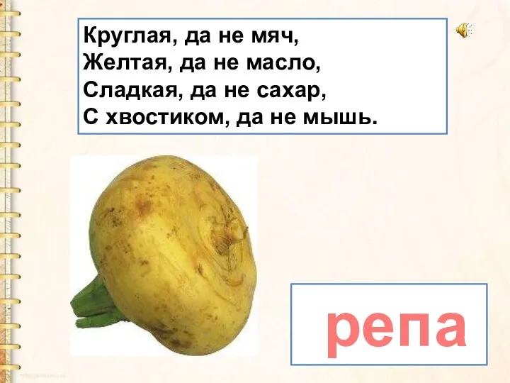 Круглая, да не мяч, Желтая, да не масло, Сладкая, да не