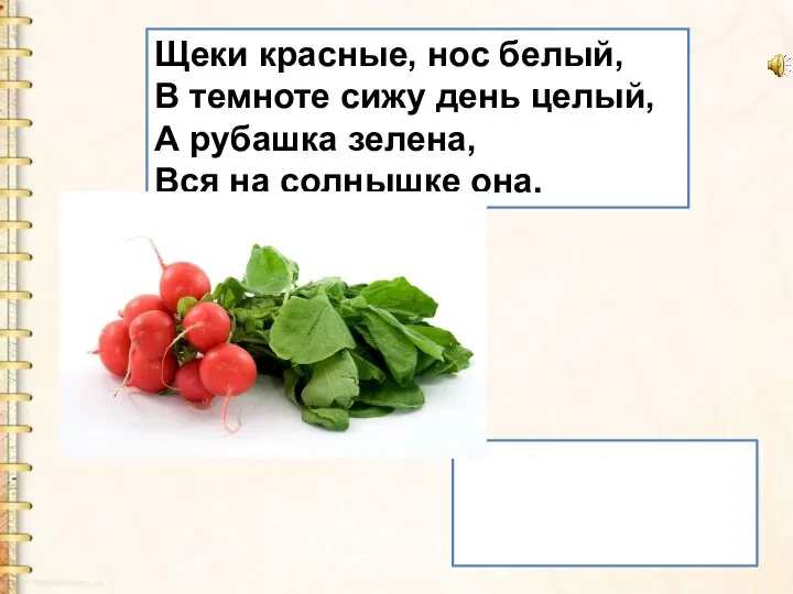 Щеки красные, нос белый, В темноте сижу день целый, А рубашка