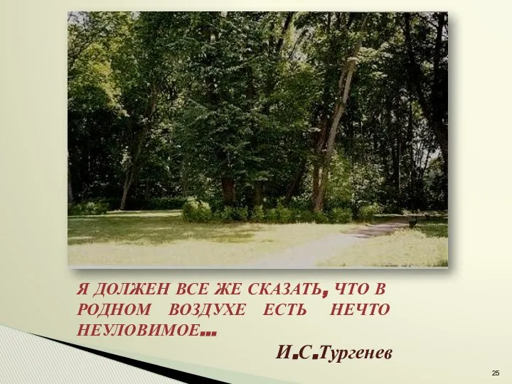 Я ДОЛЖЕН ВСЕ ЖЕ СКАЗАТЬ, ЧТО В РОДНОМ ВОЗДУХЕ ЕСТЬ НЕЧТО НЕУЛОВИМОЕ... И.С.Тургенев