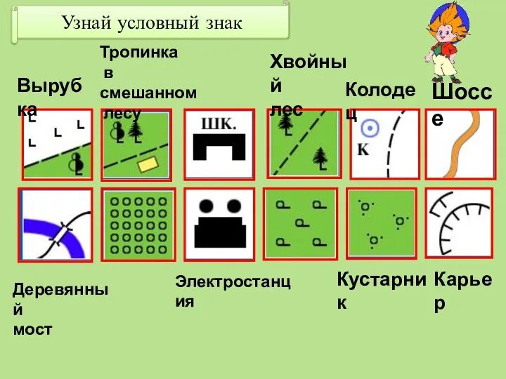 Узнай условный знак Вырубка Тропинка в смешанном лесу Хвойный лес Деревянный