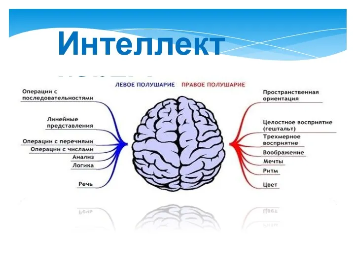 Интеллект карты