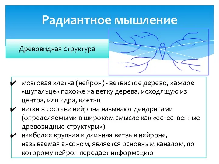 Радиантное мышление мозговая клетка (нейрон) - ветвистое дерево, каждое «щупальце» похоже