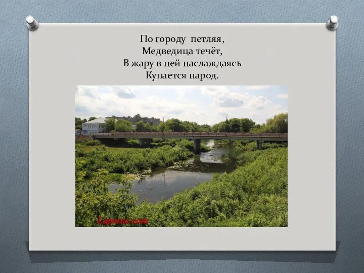 По городу петляя, Медведица течёт, В жару в ней наслаждаясь Купается народ.