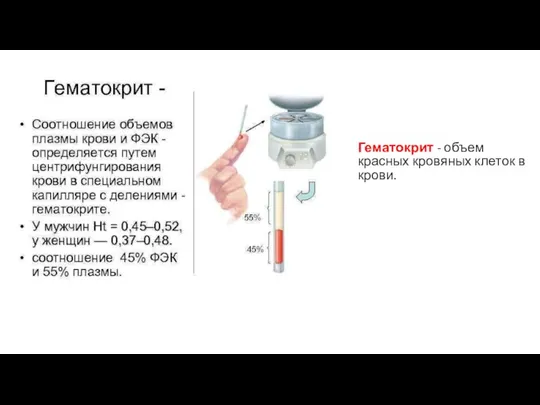 Гематокрит - объем красных кровяных клеток в крови.