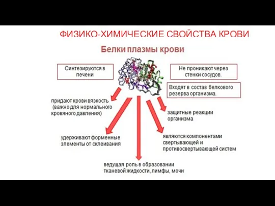 ФИЗИКО-ХИМИЧЕСКИЕ СВОЙСТВА КРОВИ