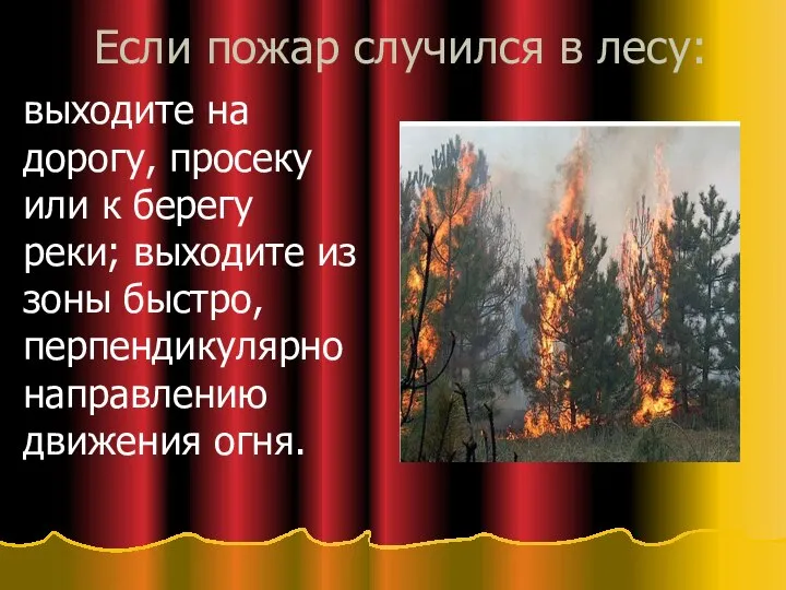 Если пожар случился в лесу: выходите на дорогу, просеку или к