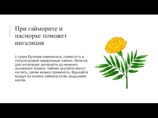 При гайморите и насморке поможет ингаляция 5 сухих бутонов измельчить, поместить