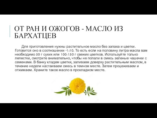 ОТ РАН И ОЖОГОВ - МАСЛО ИЗ БАРХАТЦЕВ Для приготовления нужны