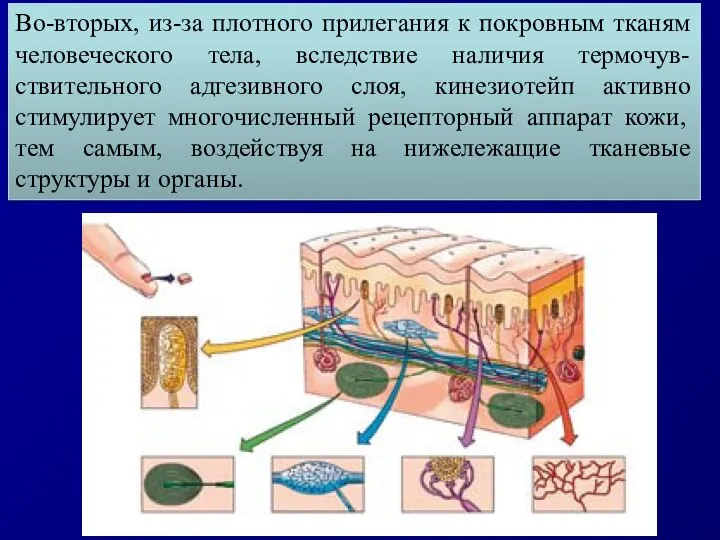 Во-вторых, из-за плотного прилегания к покровным тканям человеческого тела, вследствие наличия