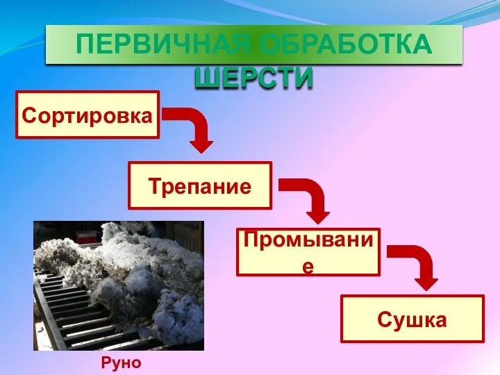 ПЕРВИЧНАЯ ОБРАБОТКА ШЕРСТИ Сортировка Трепание Промывание Сушка Руно