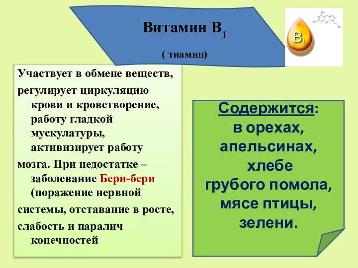 Участвует в обмене веществ, регулирует циркуляцию крови и кроветворение, работу гладкой